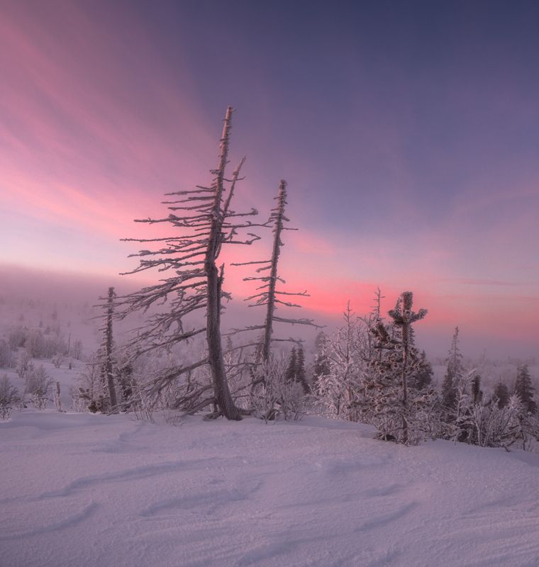 Морозным утром фото превью