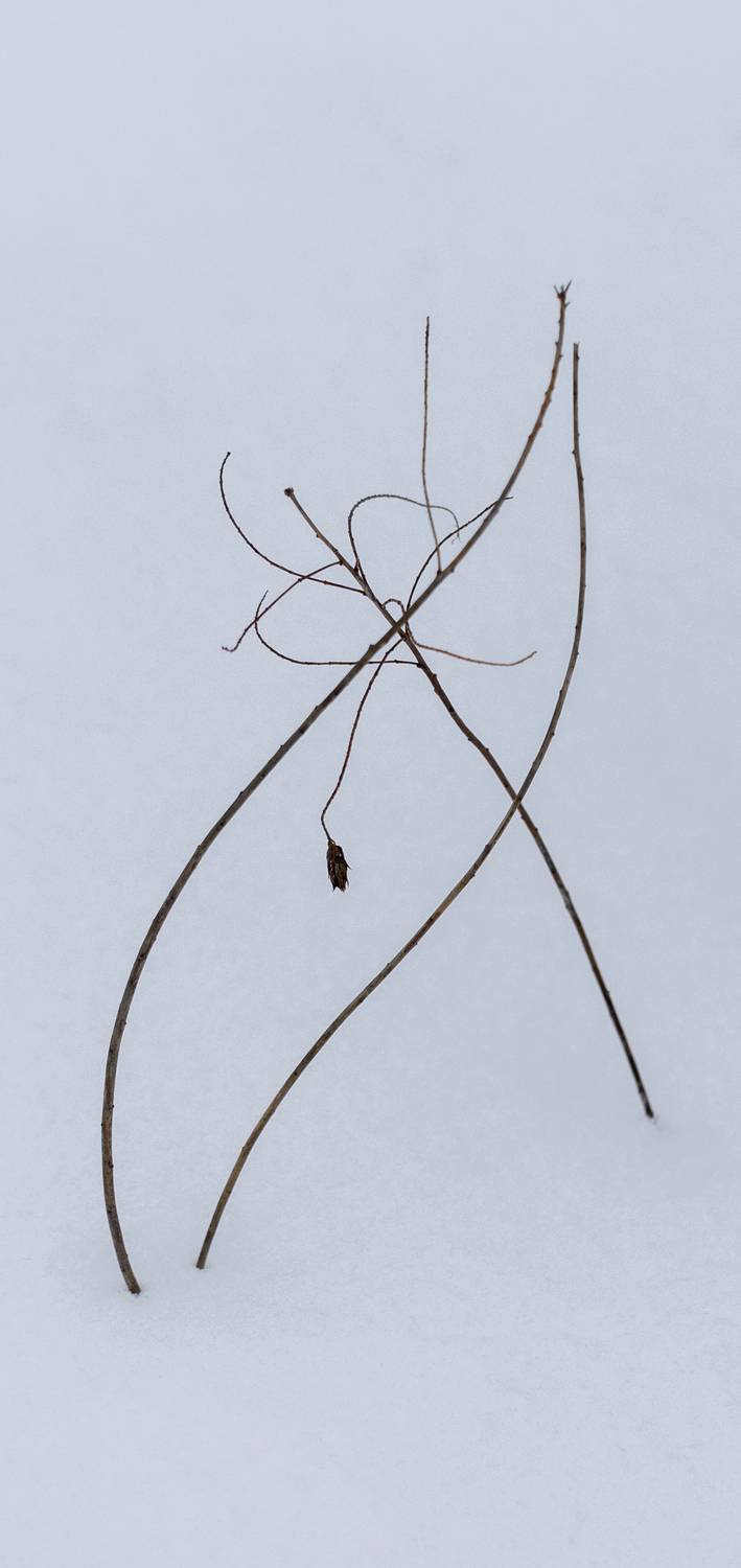 , Подосинников Максим