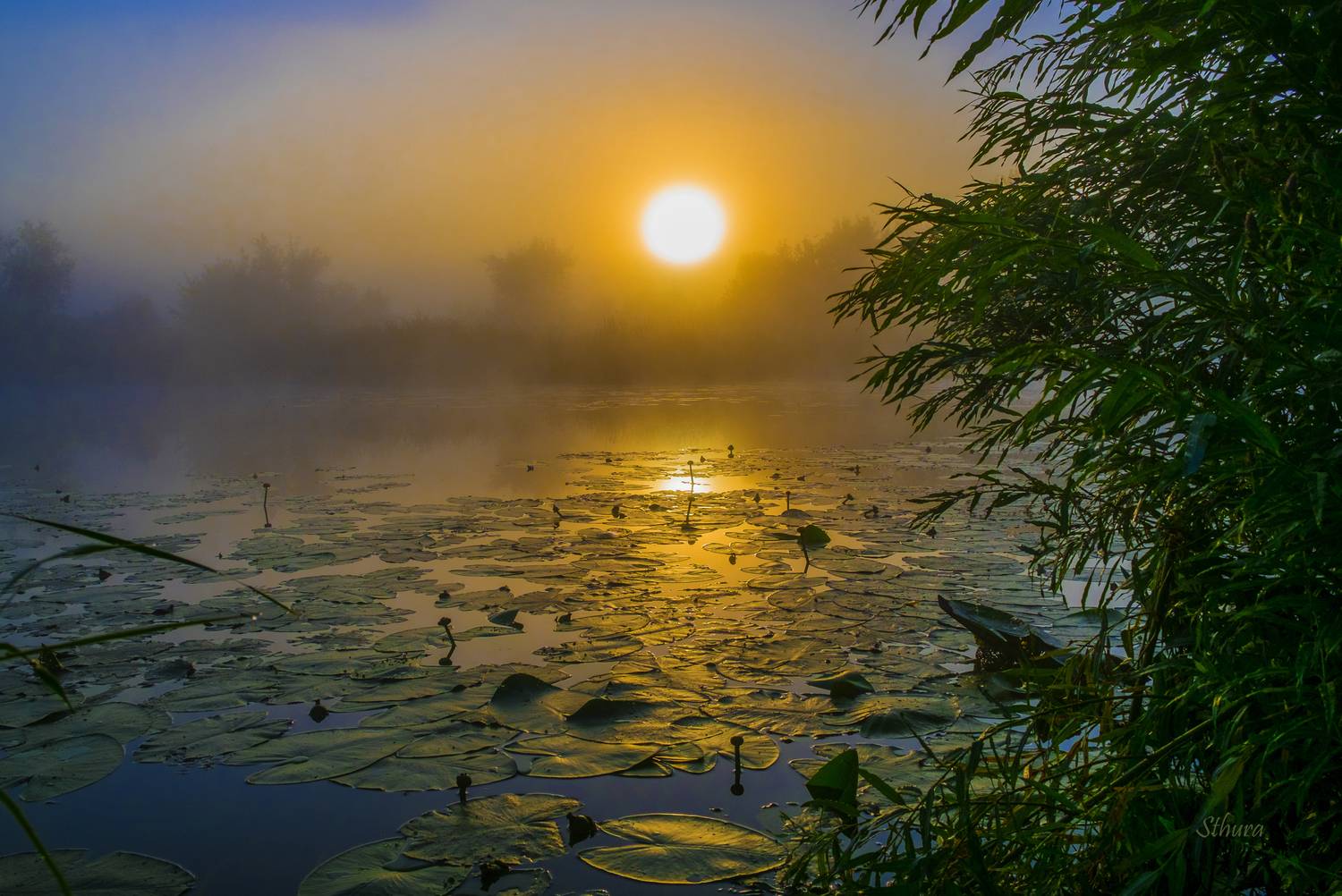 лето озеро туман рассвет природа пейзаж, Александр Строков