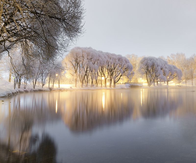 Белоснежная атмосфера в парке фото превью
