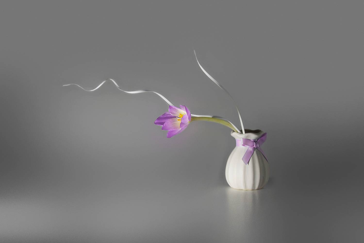 , Заболотская Ольга