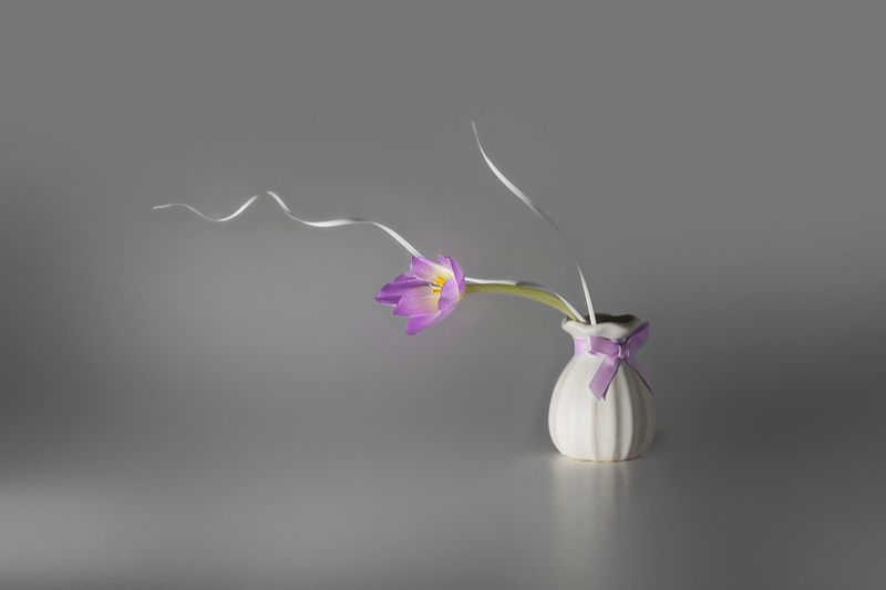 Последний подарок октября фото превью