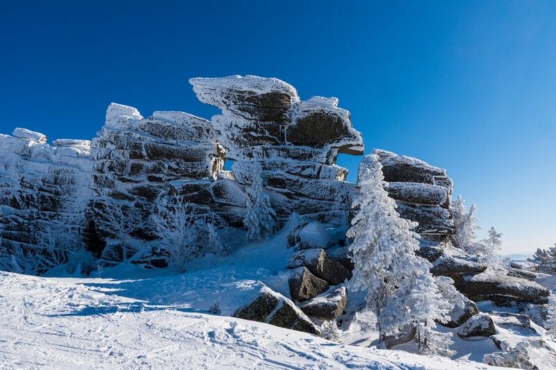 Пегас фото превью