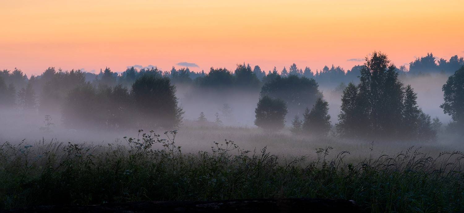 , Дмитрий Асеев