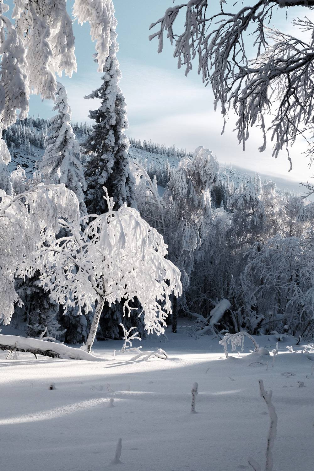 , Бодрягин Виталий