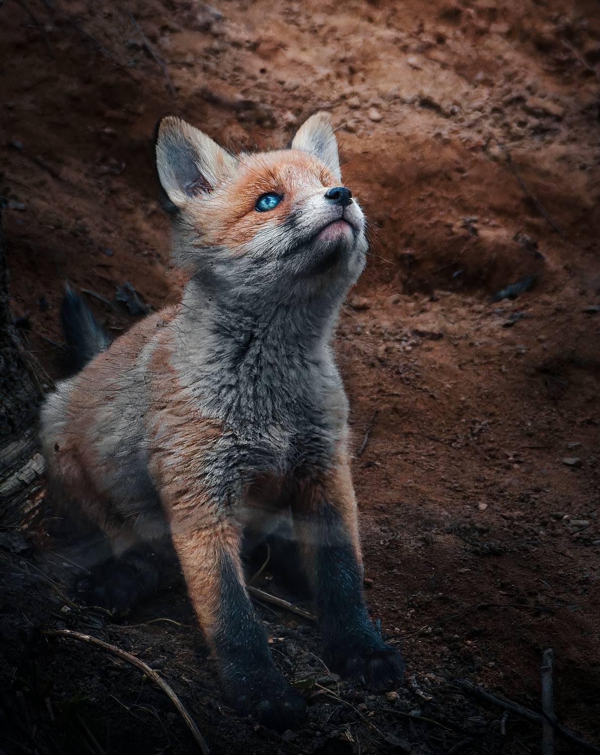 , Фото Александр