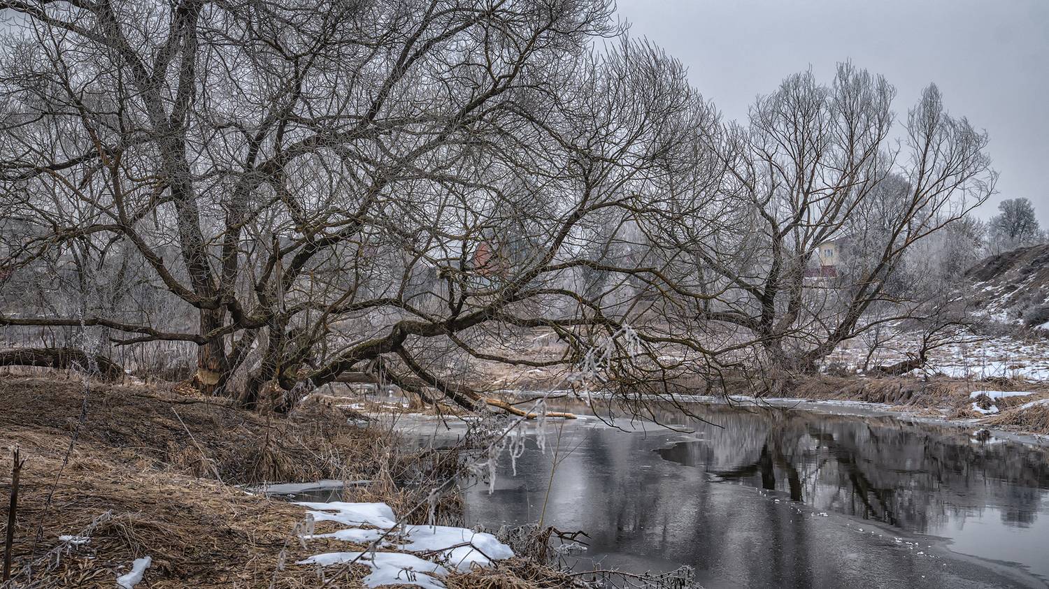 , Андреев Николай