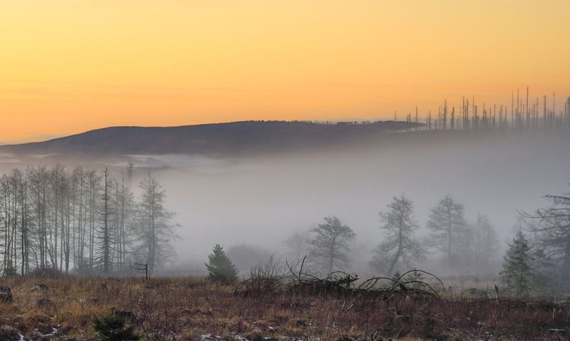 Harz фото превью