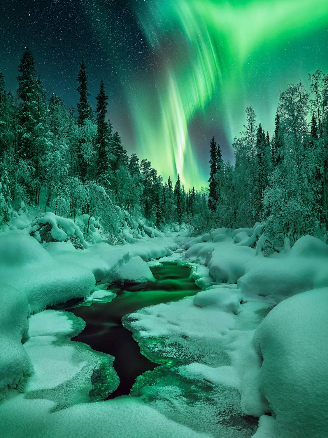 , Медянцев Дмитрий