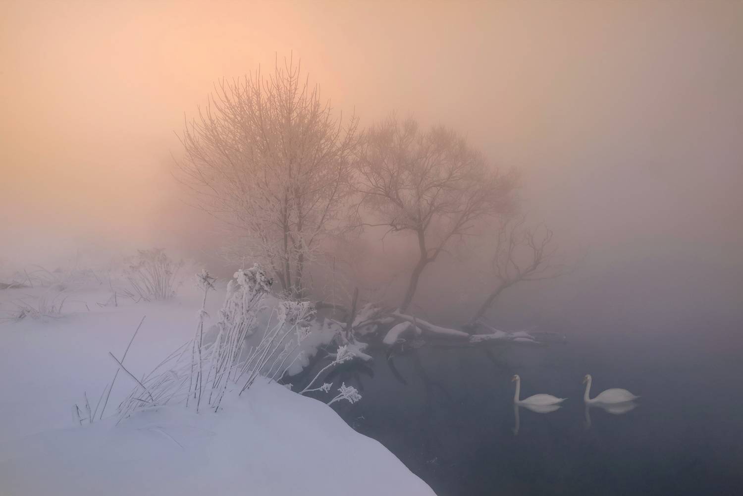 зима, мороз, свислочь, беларусь, Александр Гвоздь