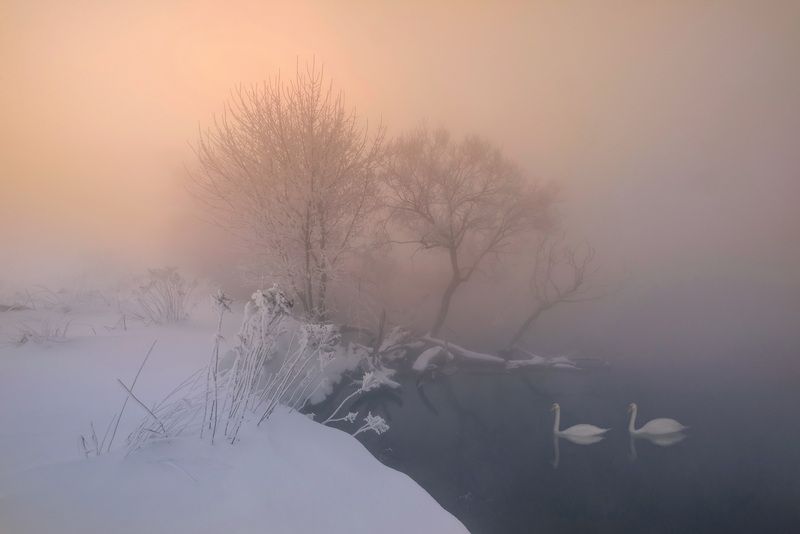 зима, мороз, свислочь, беларусь Зимой фото превью