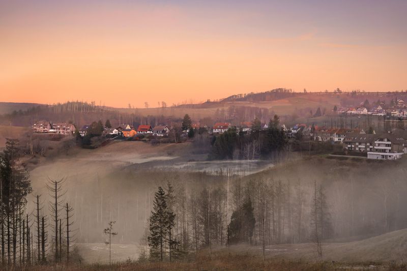 Туманное утро  (Harz) фото превью