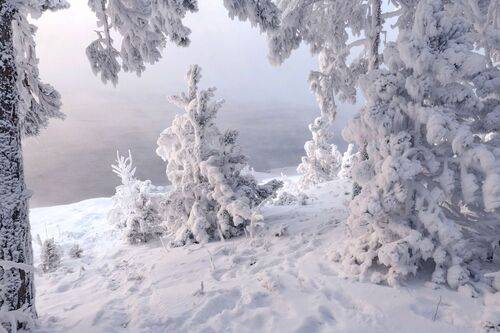 Морозный берег