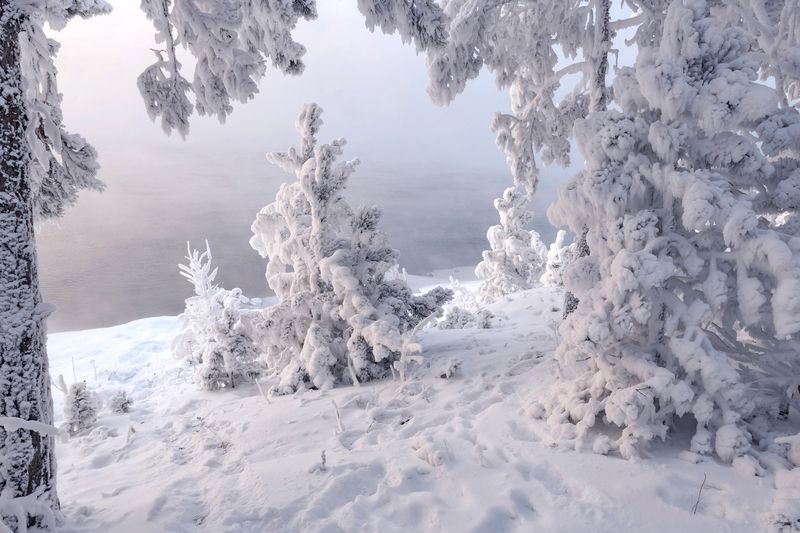 Морозный берег фото превью
