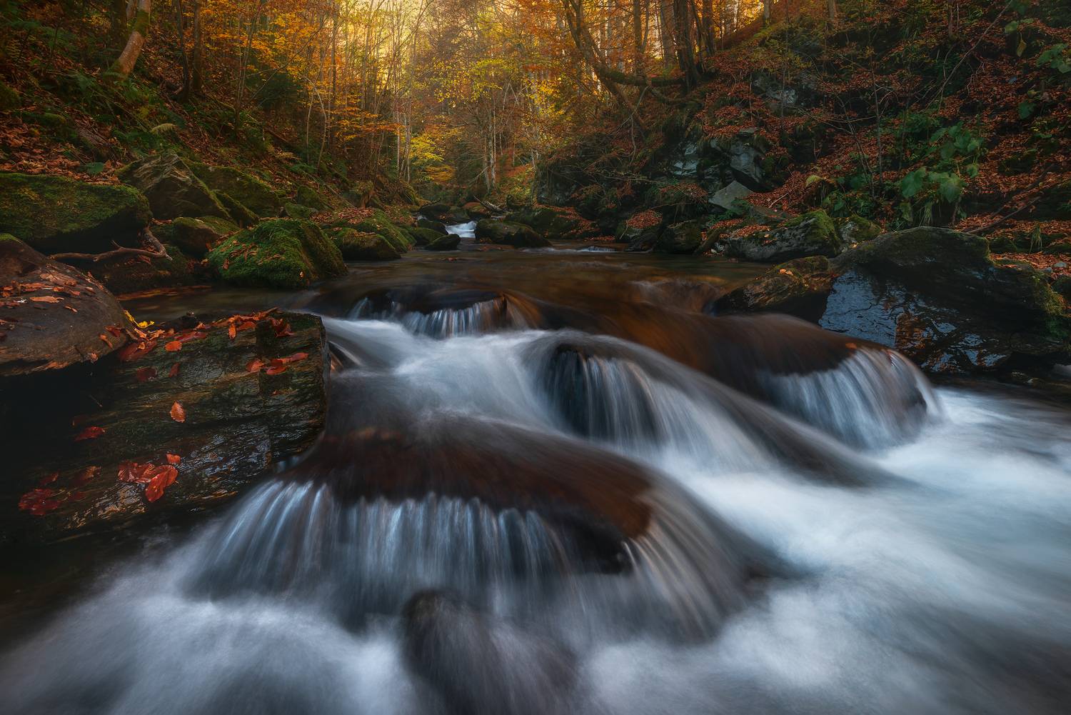 , Szabo Zsolt Andras