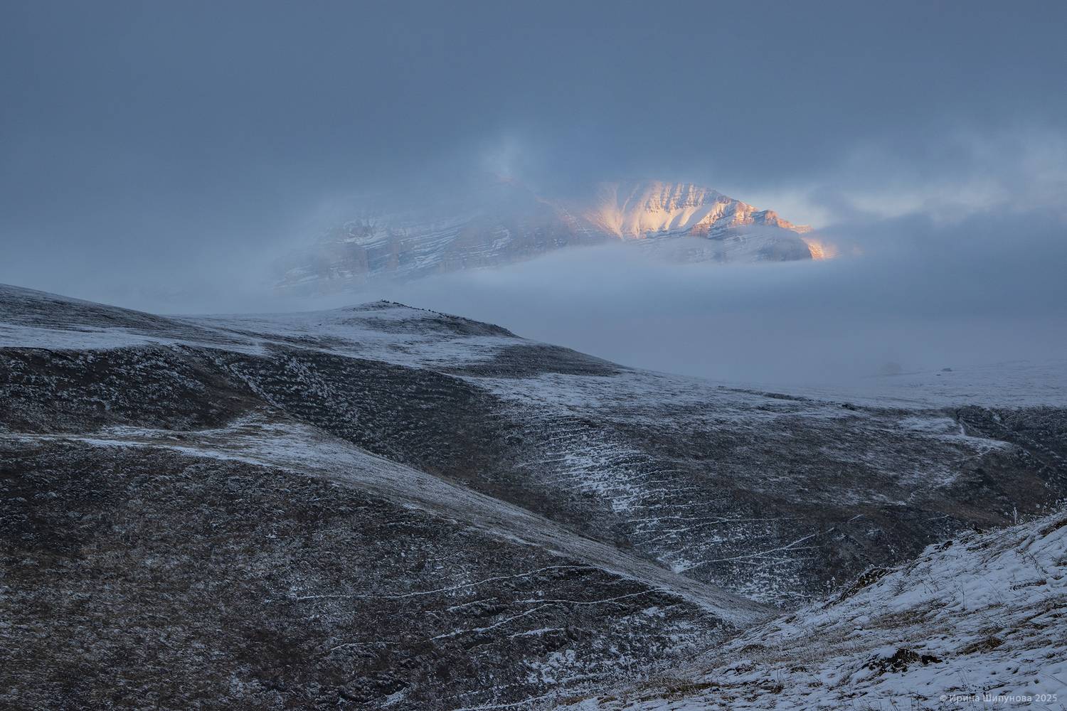 кбр, актопрак, февраль 2025, Шипунова Ирина