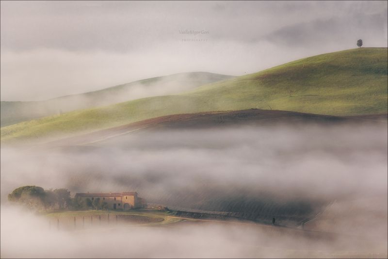 italy,san quirico d\'orcia,italia,италия,тоскана,pienza,кипарис,toscana,осень,tuscany,cipressi,belvedere,пьенца,тени,туман Холмы окутаны туманом фото превью