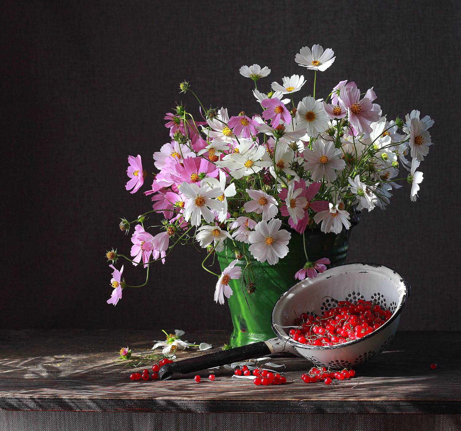 , Наталья Казанцева