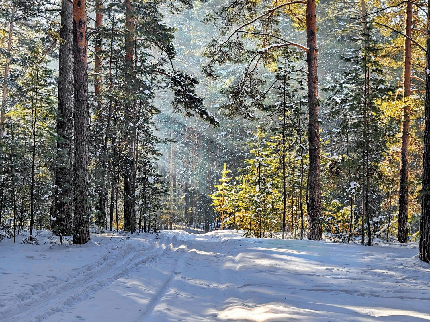 , Кузнецов Дмитрий