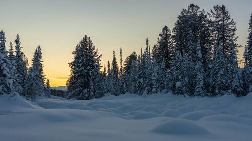 Безмятежность ...