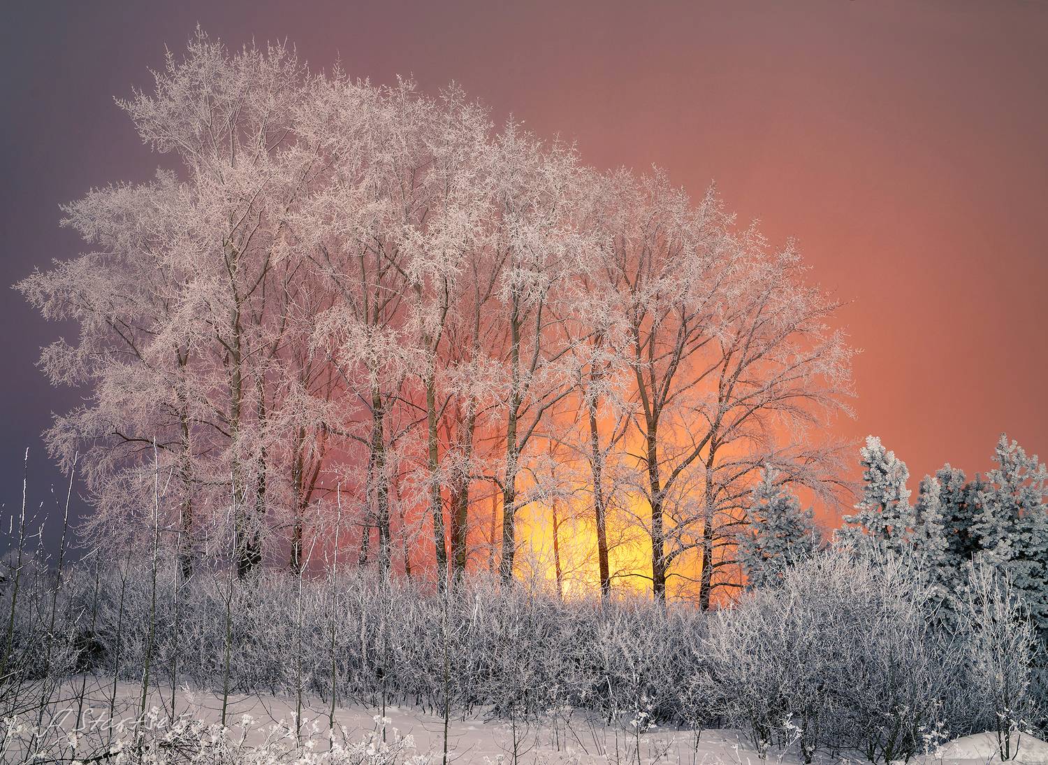 зима, иней, вечер, лысьва, Старцев Андрей