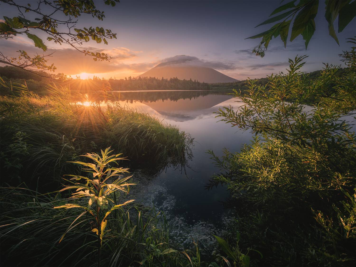 , Политова Анна