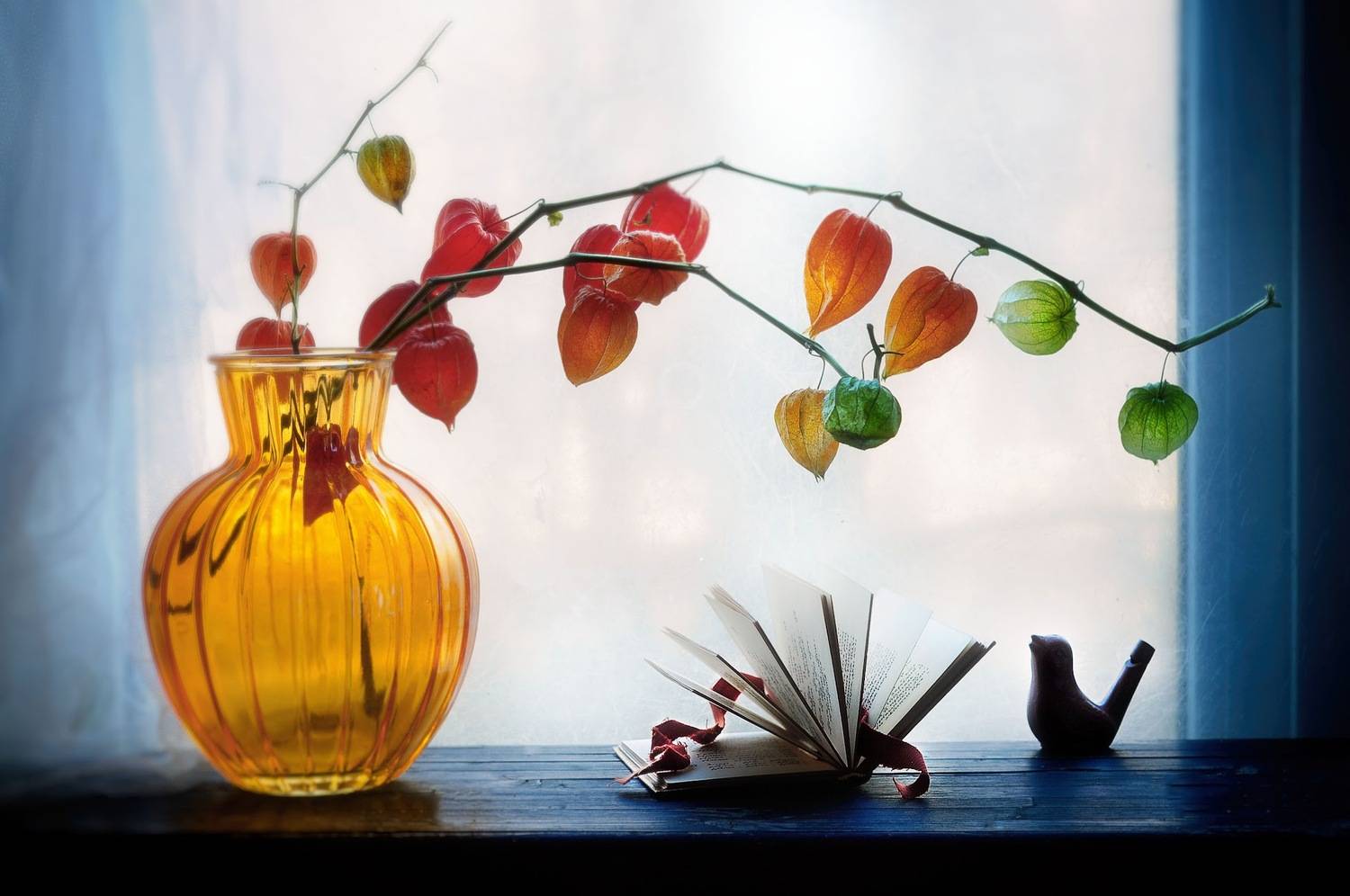 , Ирина Данилова