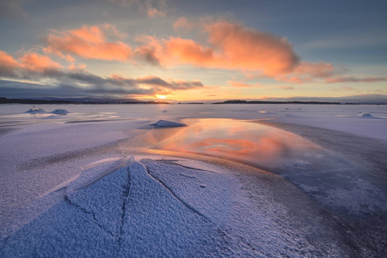 кандалакша, Евдокимов Максим
