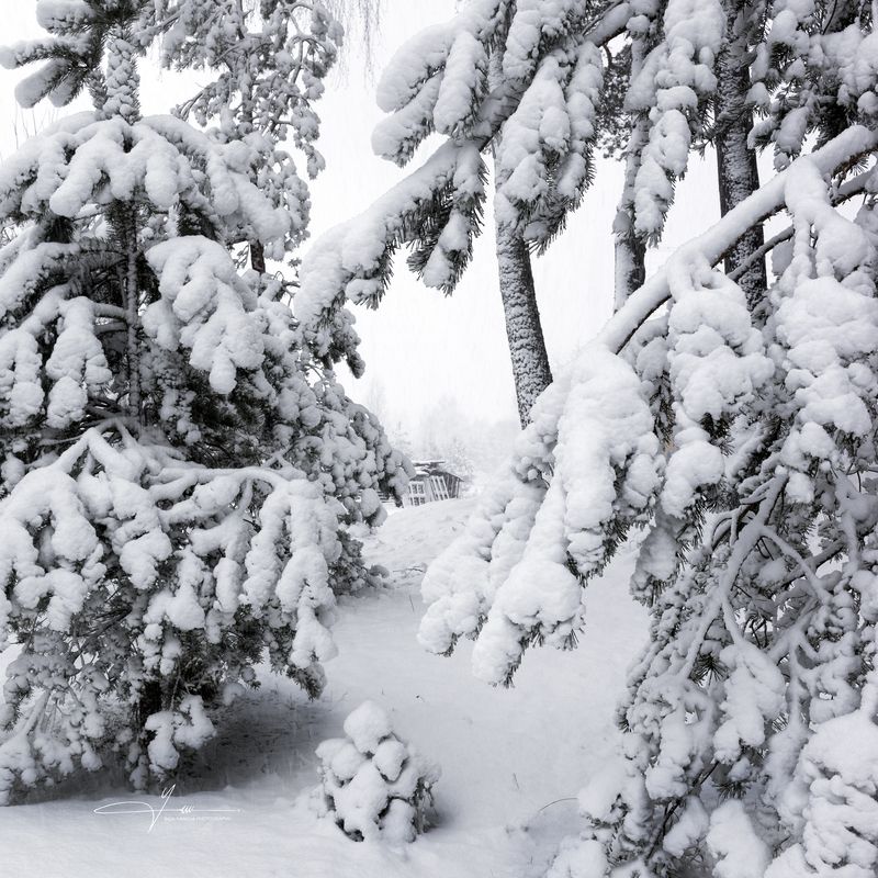 Зимние краски III,  Latgola фото превью