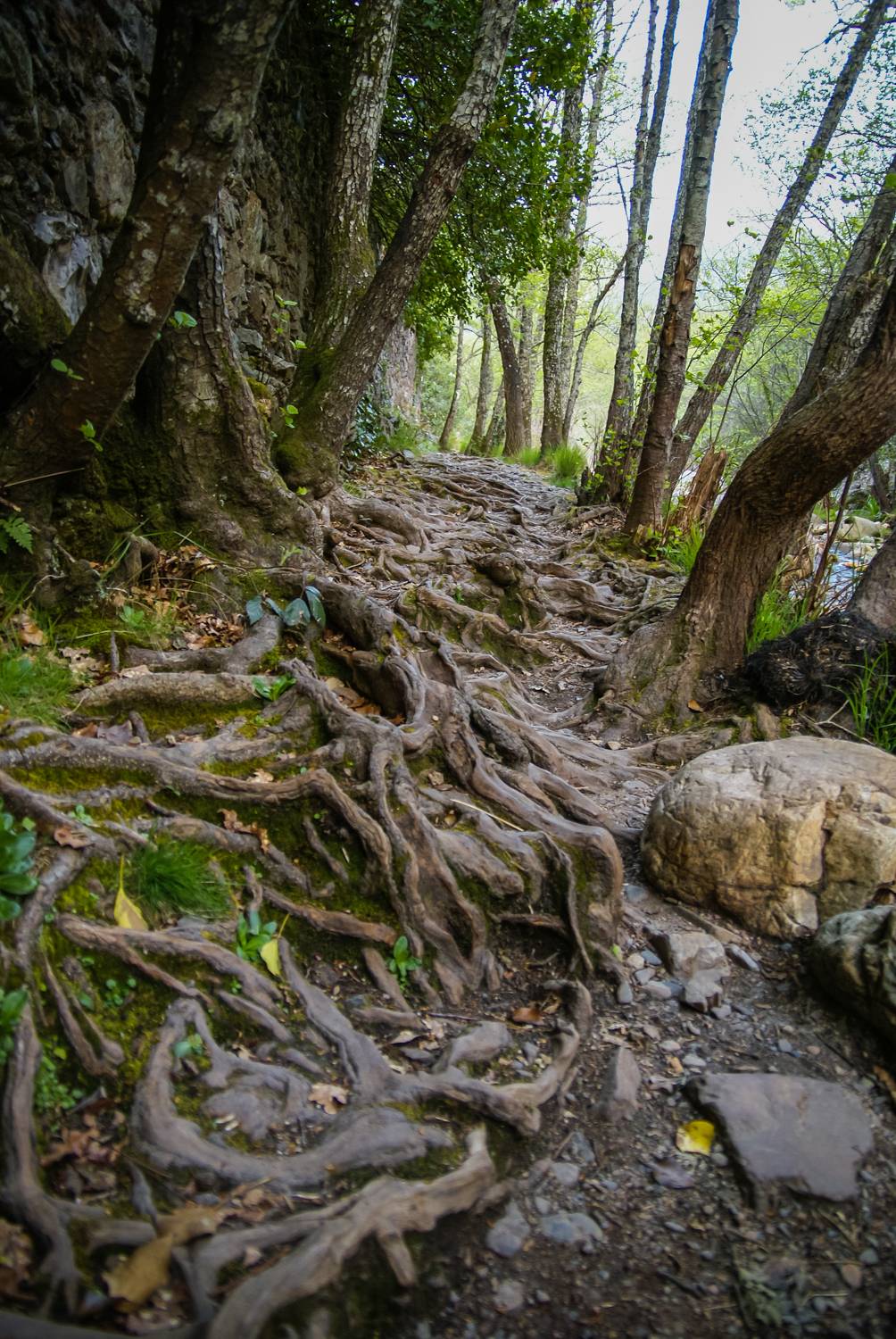 , Максимова Дария