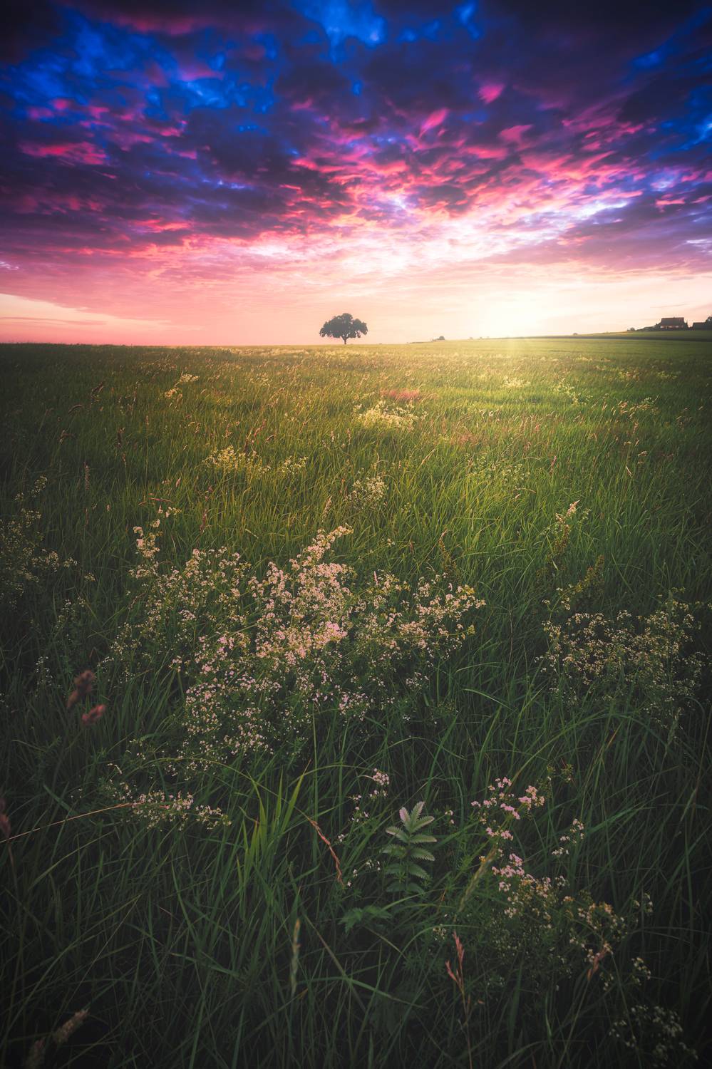 , Zavaydin Zavaydinov