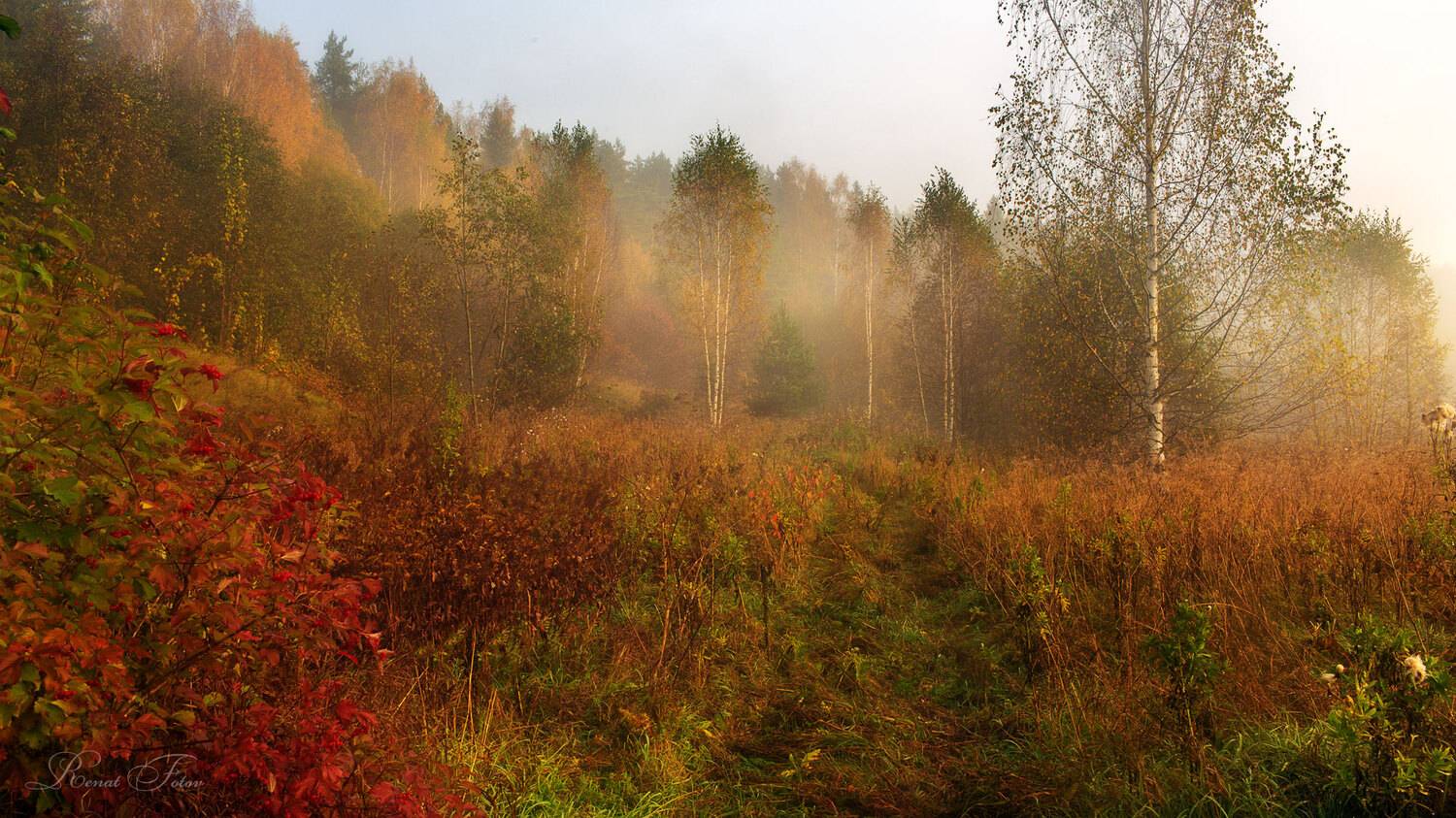 , Фотов Ренат