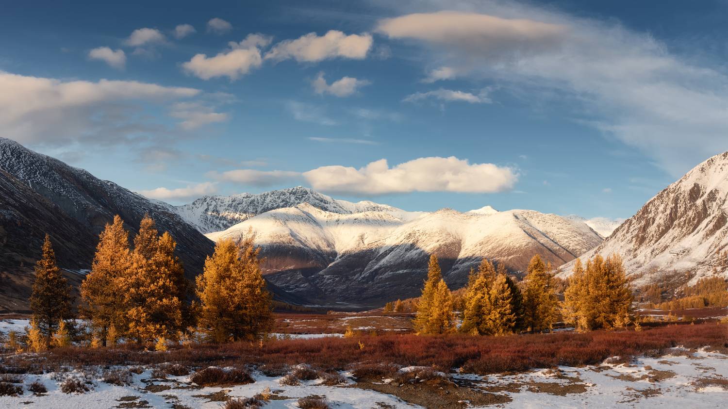 алтай, горный алтай, пейзажи алтая, кош-агачский район, золотая осень, горы, осенний алтай, горная тайга, карлуха, карликовая береза, лиственницы, южно-чуйский хребет, Рубан Елена