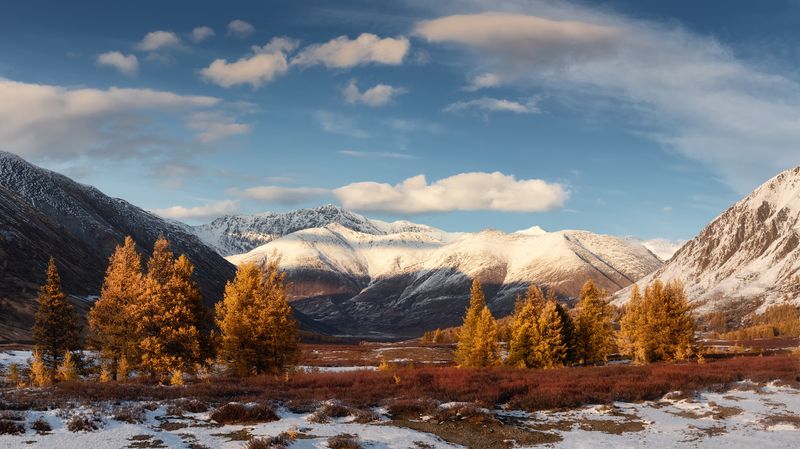 алтай, горный алтай, пейзажи алтая, кош-агачский район, золотая осень, горы, осенний алтай, горная тайга, карлуха, карликовая береза, лиственницы, южно-чуйский хребет Припорошило фото превью