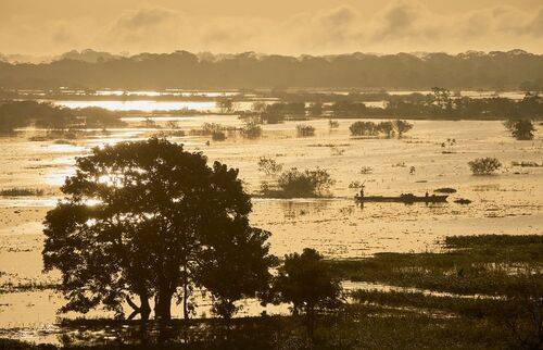 Пробуждение