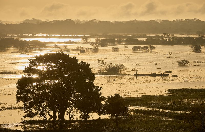 амазонка, перу, peru, сельва Пробуждение фото превью