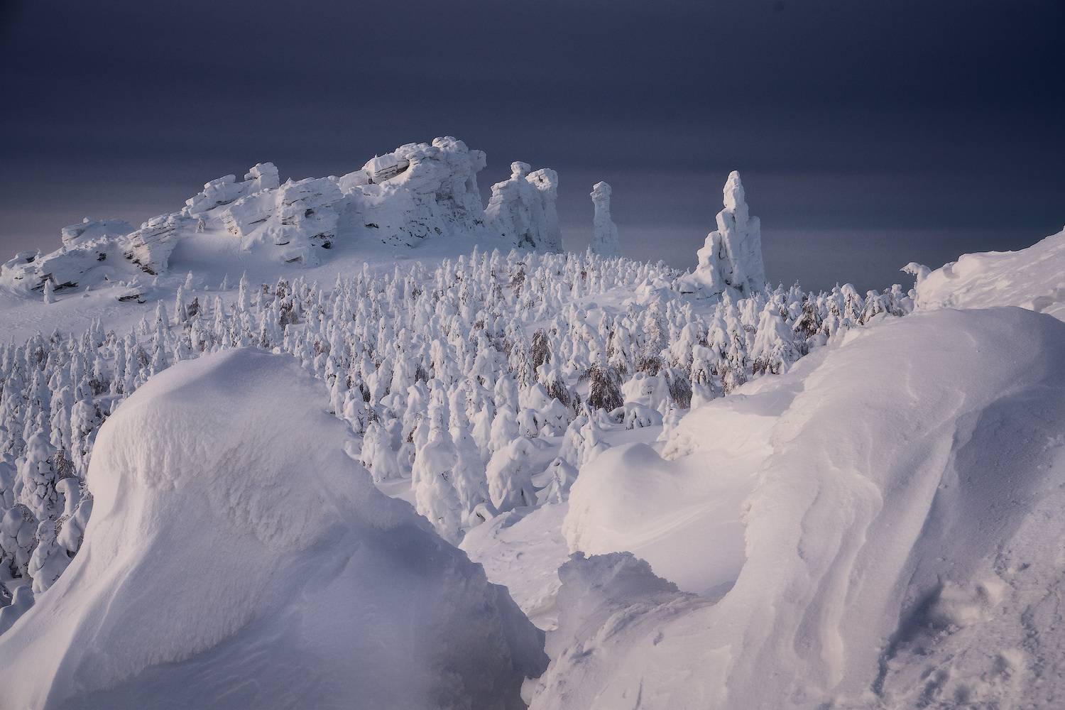 , Владимир Ляпин