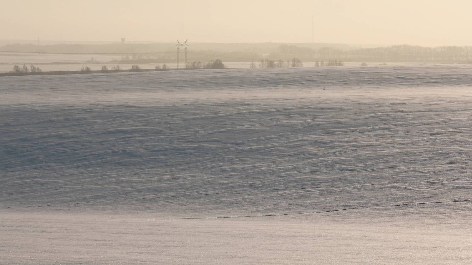 снег, Пермяков Михаил