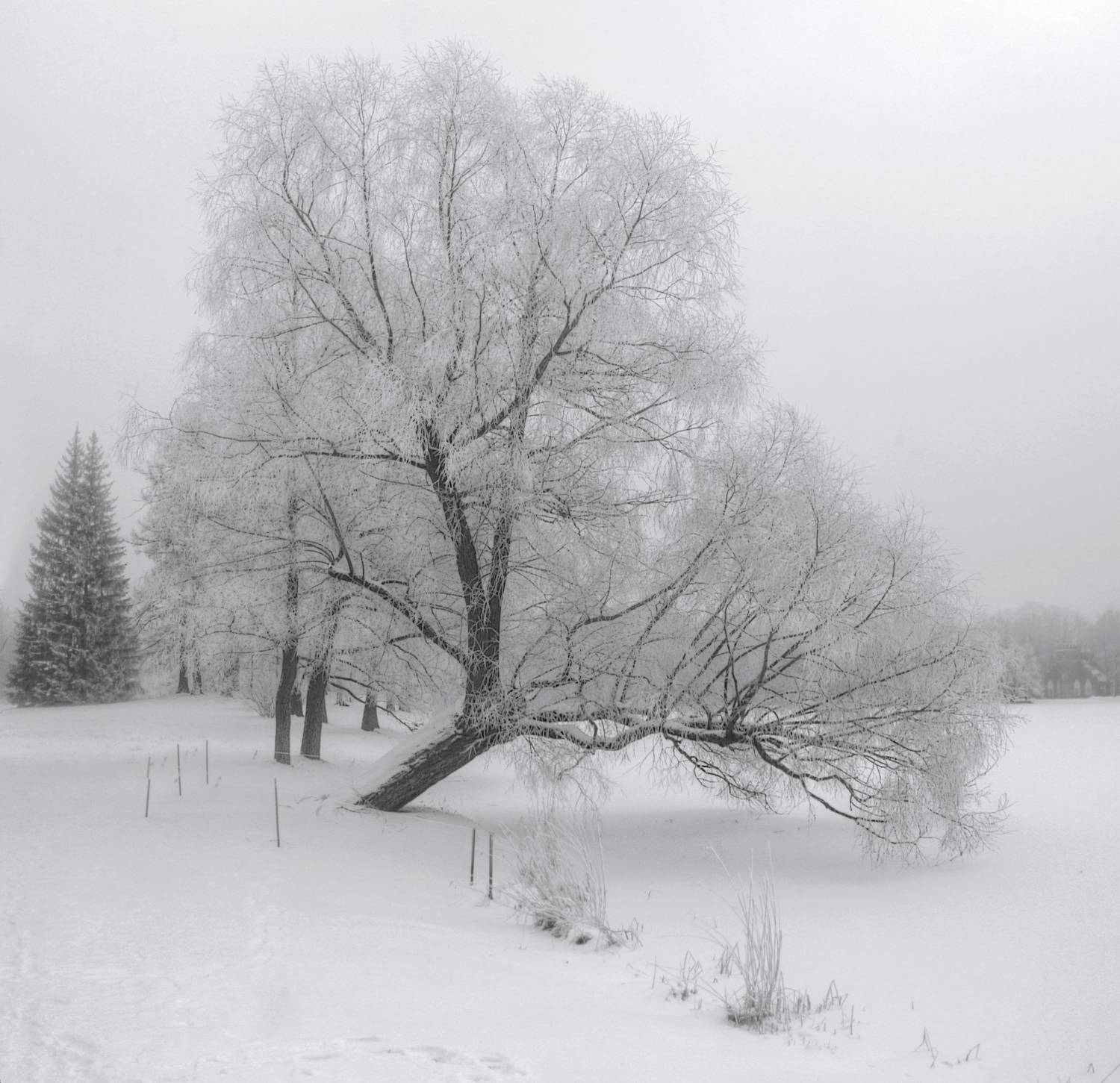 , Сергей Григорьев