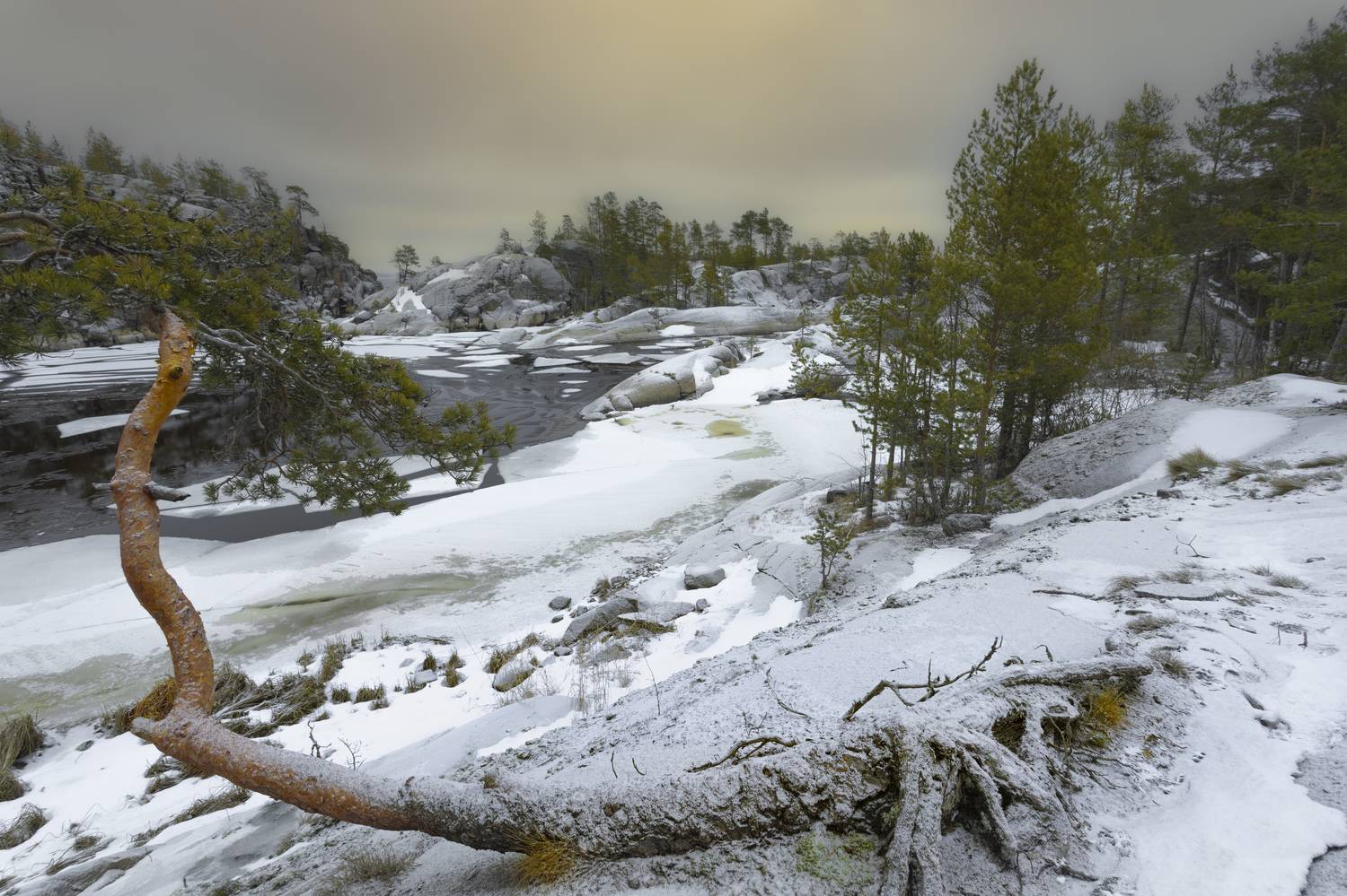 , Лаврентьев Александр