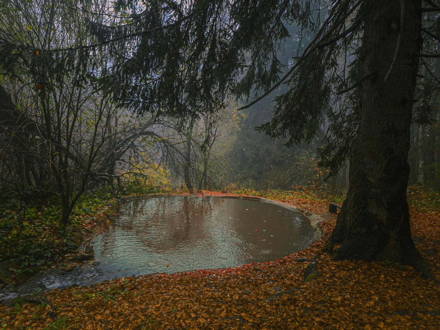 , Николов Андриян