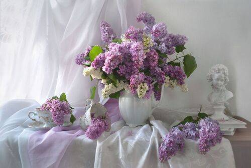 Люблю душистую сирень...