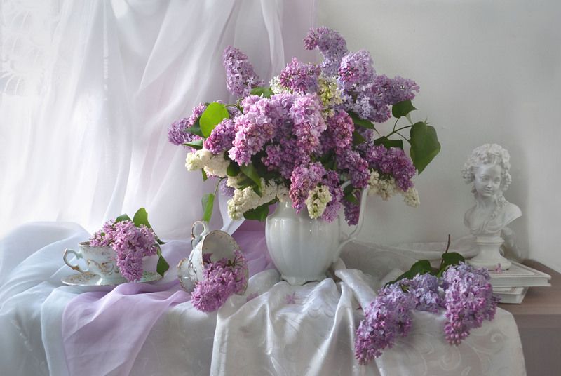 still life, натюрморт, цветы, фото натюрморт, весна, май, сирень, фарфор, настроение, Люблю душистую сирень... фото превью
