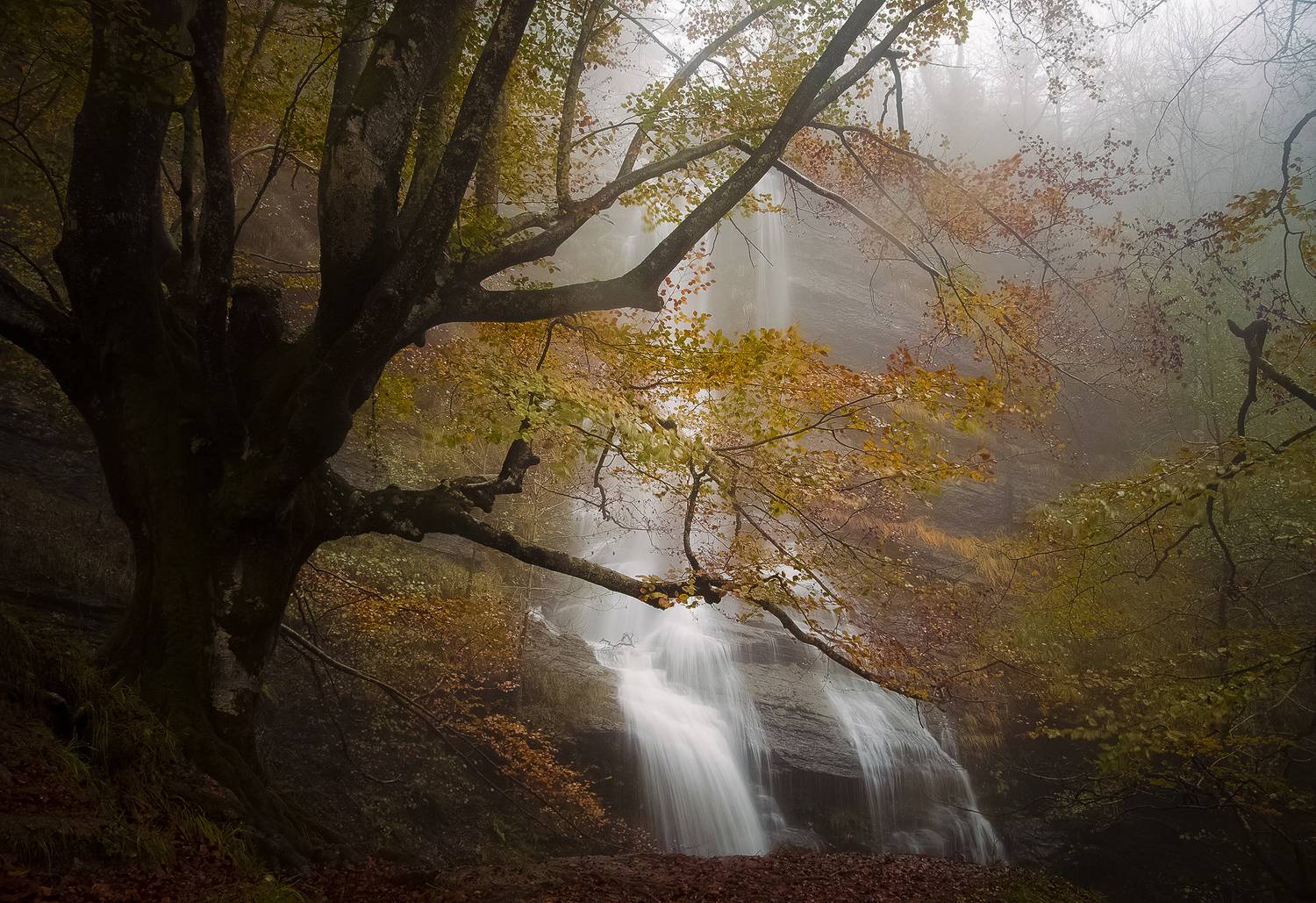 , Antonio Cantabrana