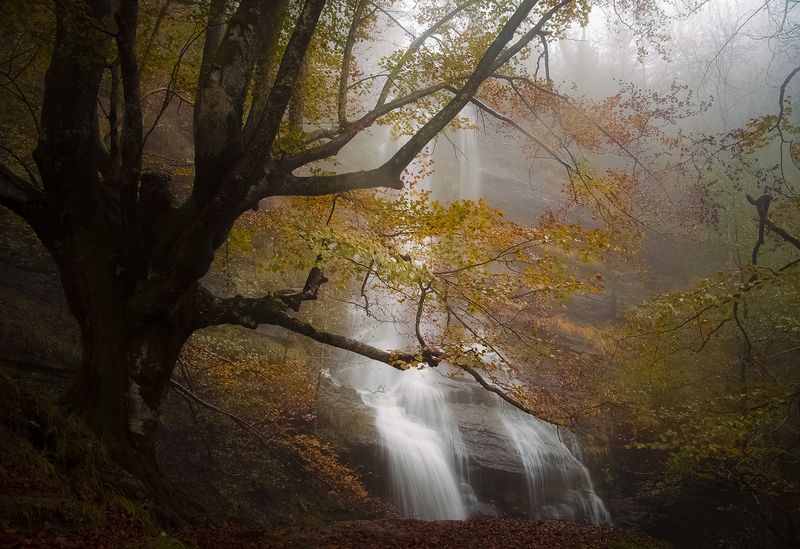 Uguzpe фото превью