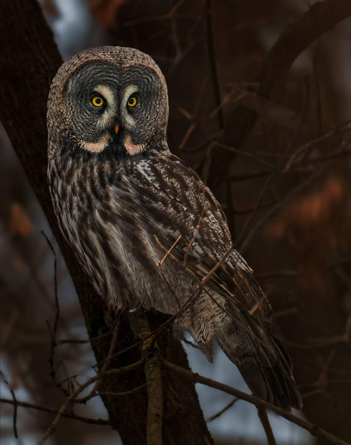 , Фото Александр