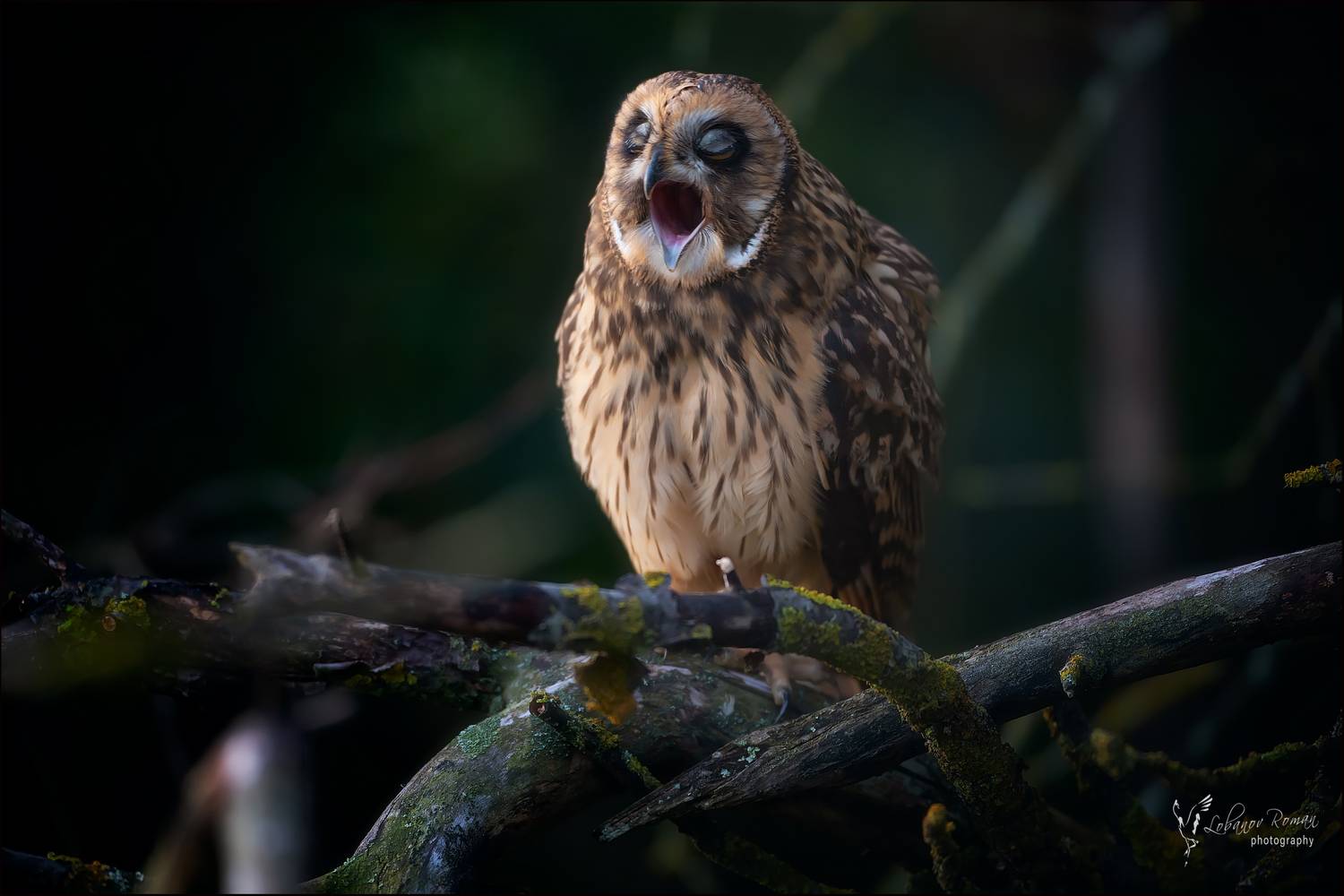 , Лобанов Роман