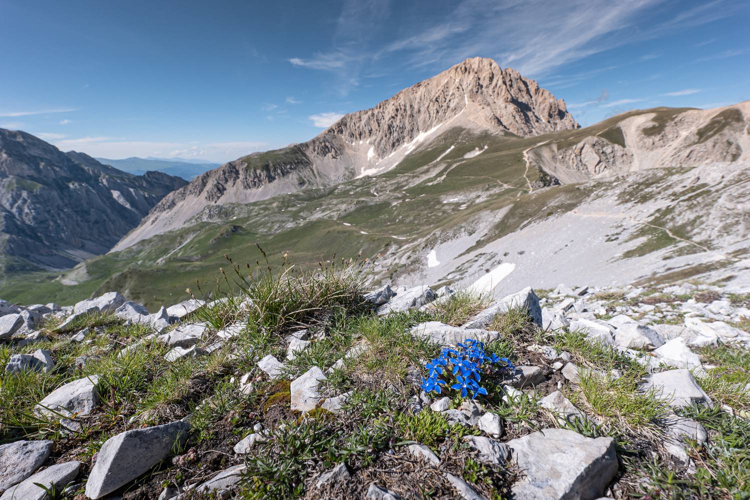 , Гордон Николай