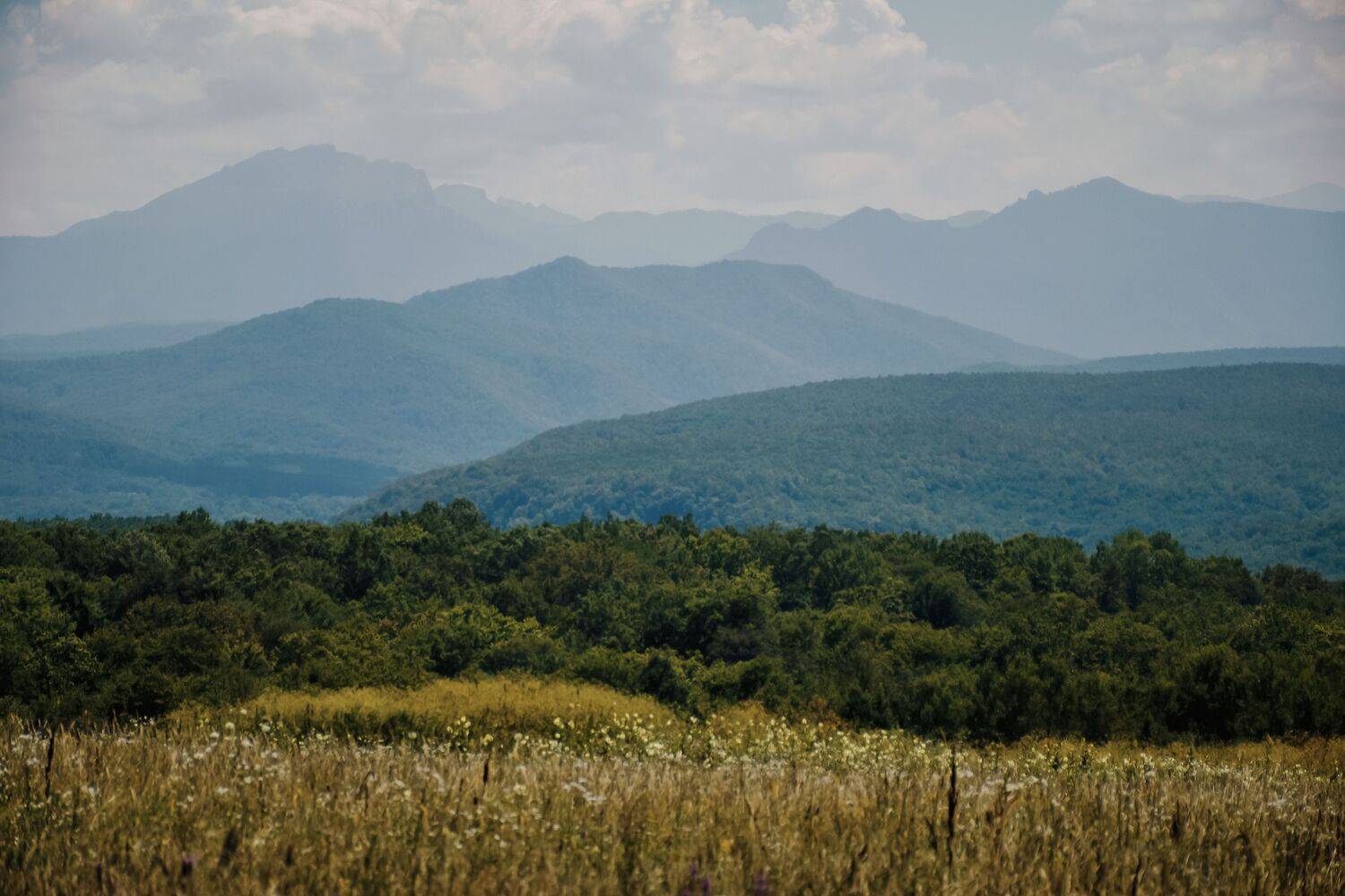 , Даников Анастасия