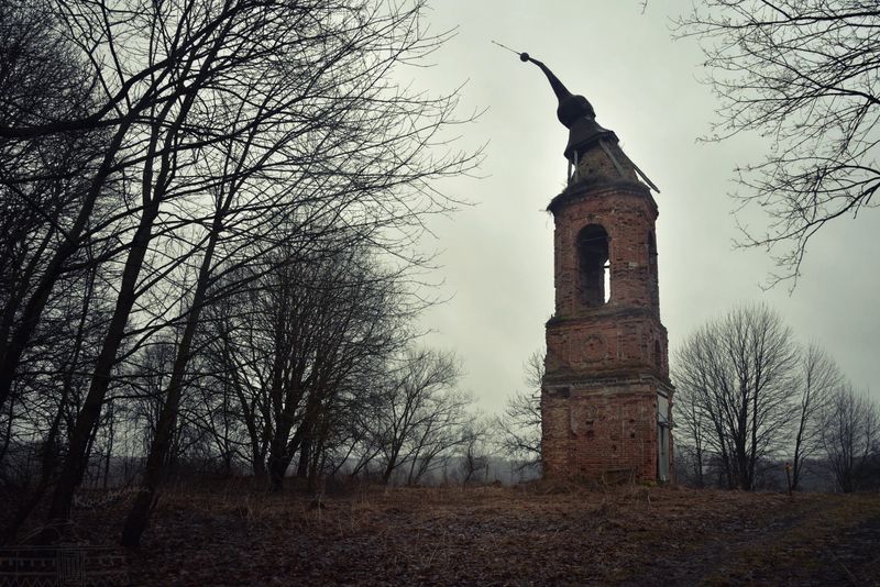 Край ты мой, пустырь фото превью